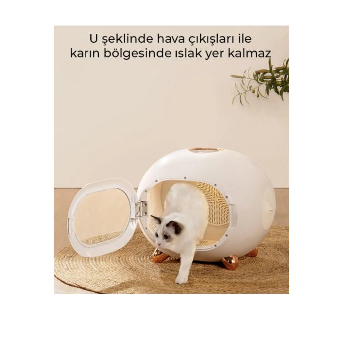 Venslora